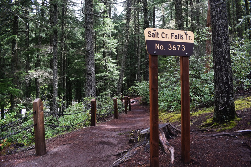 Salt Creek Falls Trail to Diamond Falls, Oregon Hiking