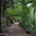 Witch's Castle Portland: Explore the Stone House in Forest Park - A forest trail leading towards the stone house, with dense foliage and trees creating a natural tunnel effect. Two people are walking on the path towards the structure