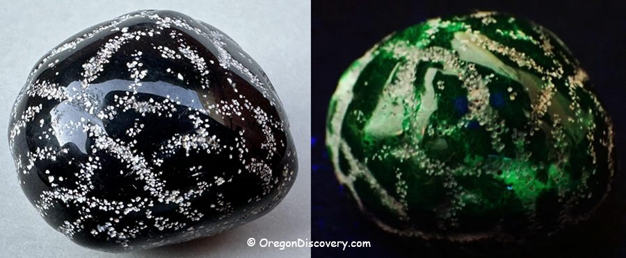 Fluorescent Prineville Agate under UV Light