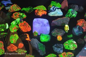 Best UV Lights for Rockhounding & Fluorescent Minerals Identification: Various rocks and minerals glowing in bright green, orange, and purple colors under ultraviolet light, demonstrating fluorescence in a dark display setting.