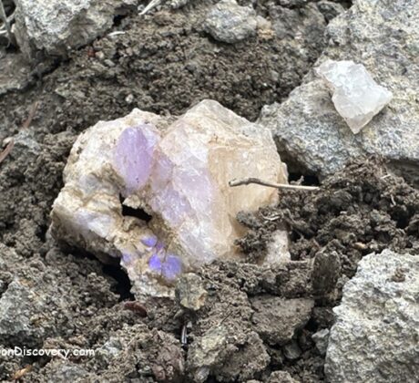 Using UV Light in the Field