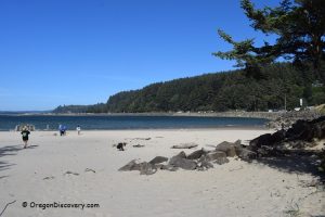 Ziolkouski Beach Park Oregon: Wide sandy beach with a few people walking and playing near the shoreline, bordered by a forested hill and calm blue water under a clear sky.