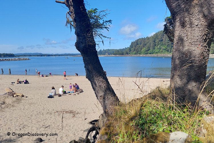 Ziolkouski Beach Park Oregon: Groups of people relaxing on the sandy beach, with calm bay waters and forested hills in the background, viewed through the branches of a tree.