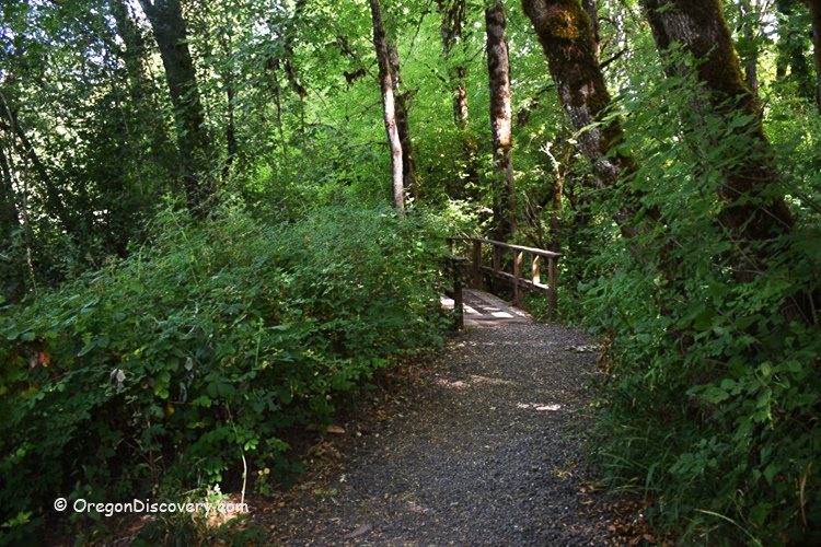 Marys River Park, Oregon - trail