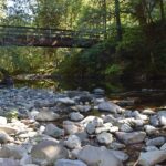 Lund Park Campground, Oregon - Brice Creek