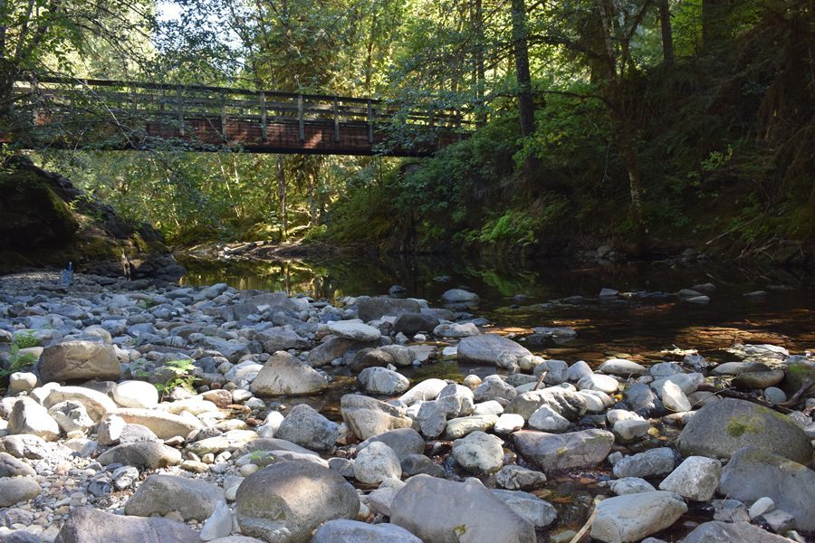 Lund Park Campground, Oregon - Brice Creek 