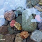 Brice Creek Rockhounding - Cedar Creek, Oregon Campground