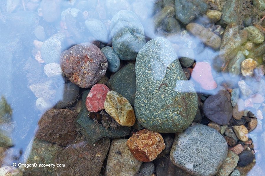 Brice Creek Rockhounding, Oregon