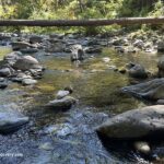 Cedar Creek Campground - Brice Creek, Oregon