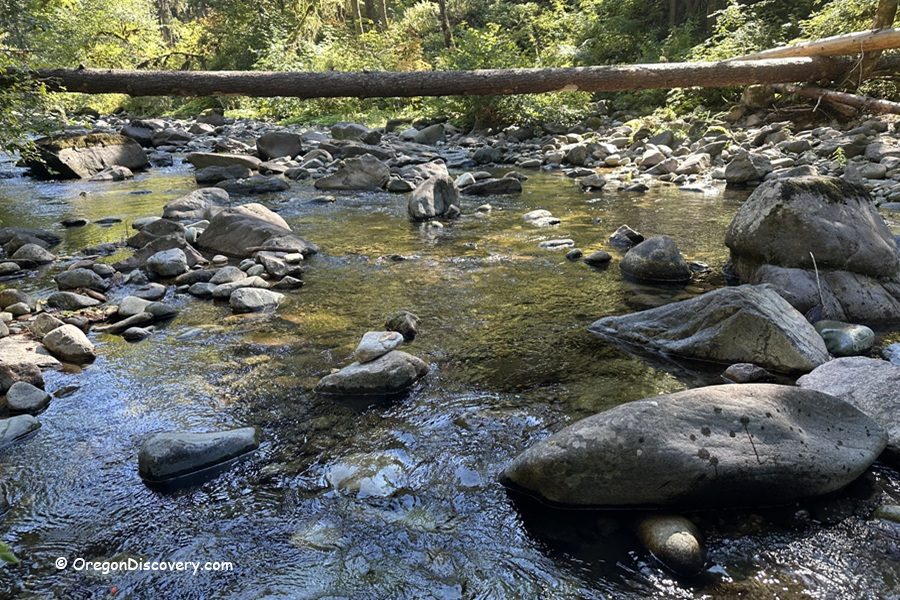 Cedar Creek Campground - Brice Creek, Oregon