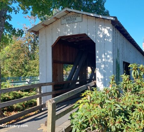 Centennial Covered Bridge in Oregon: The picture "Centennial Covered Bridge in Oregon exterior side view" shows the white wooden bridge with rectangular windows along its side, crossing over a calm creek and surrounded by leafy green trees on a sunny day.