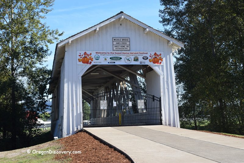 Weddle Covered Bridge in Oregon: The picture "Weddle Covered Bridge in Oregon festival banner entrance" shows the white wooden entrance to the bridge with a harvest festival banner above the opening, a black metal gate across the entrance, and trees on both sides.