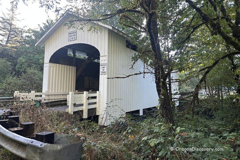 Wendling Covered Bridge in Oregon: The picture "Wendling Covered Bridge in Oregon side view in the forest" displays an exterior side view of the white wooden covered bridge surrounded by green trees and brush, with a curved metal guardrail in the foreground.
