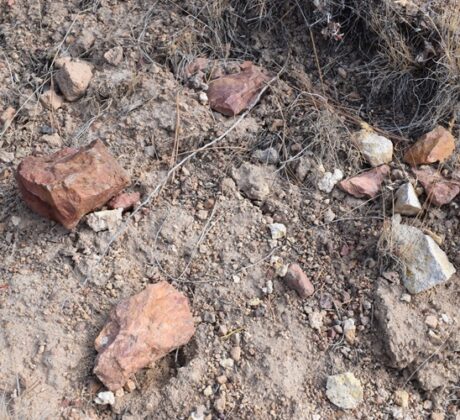 Dry Creek Rockhounding in Oregon: The picture "Dry Creek Rockhounding in Oregon close-up of dry hillside" shows a close-up view of a rocky, dry hillside covered in tufts of yellow grass and scattered sagebrush, with pine trees visible in the background.