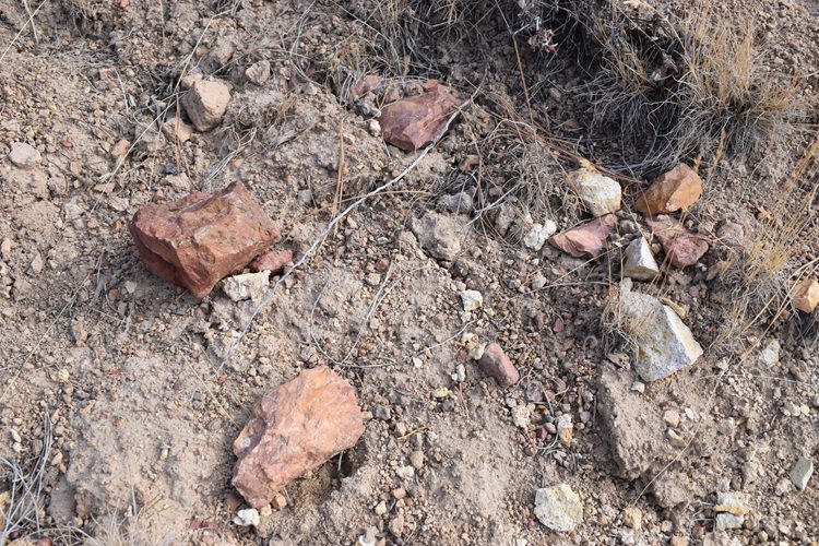 Dry Creek Rockhounding in Oregon: The picture "Dry Creek Rockhounding in Oregon rocks on sandy ground" features a patch of sandy, rocky soil with several large reddish and white rocks scattered among dry grass and twigs.