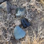 Mud Ridge at Burns - Oregon's Volcanic Glass: The picture "Mud Ridge at Burns obsidian and volcanic glass pieces on ground" displays several shiny fragments of obsidian and volcanic glass scattered among rocks and dry grasses on the dusty ground.