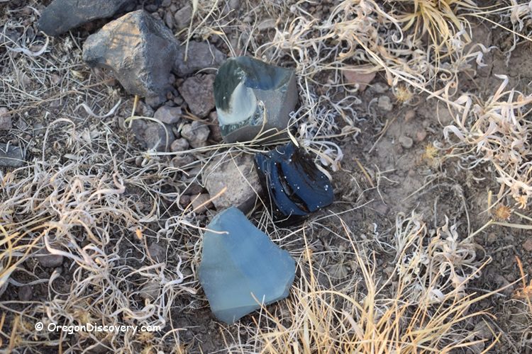 Mud Ridge at Burns - Oregon's Volcanic Glass: The picture "Mud Ridge at Burns obsidian and volcanic glass pieces on ground" displays several shiny fragments of obsidian and volcanic glass scattered among rocks and dry grasses on the dusty ground.