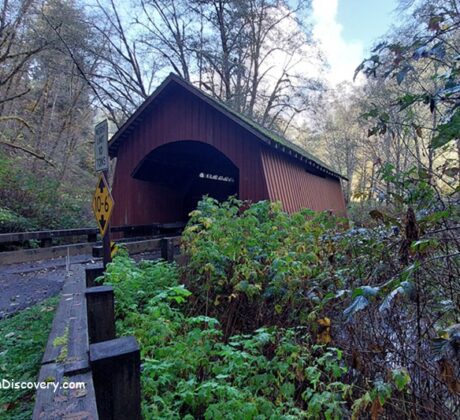 North Fork Yachats Covered Bridge in Oregon: The picture "North Fork Yachats Covered Bridge side angle" features a diagonal view of the red covered bridge surrounded by dense green vegetation and trees, with road signs and a creek visible in the foreground.
