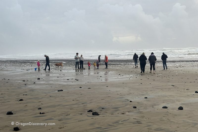 Oceanside Beach, Oregon