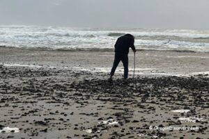 Top-Rated Beachcombing Gear Sand Dipper Beach Scoop for Rockhounding