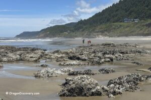 Tokatee Klootchman State Natural Site in Oregon: The picture "Tokatee Klootchman beach with tidepools" shows a sandy beach scattered with barnacle-covered rocks and tidepools, with three people exploring the shoreline and forested hills rising in the background.