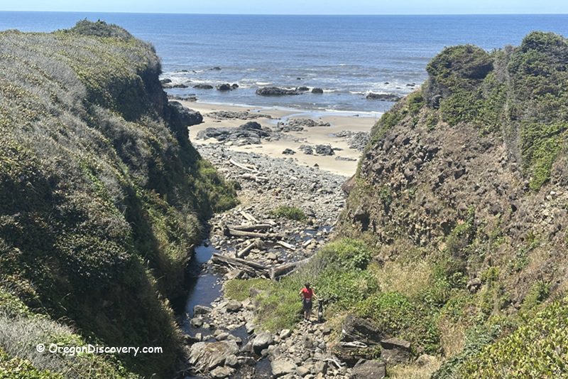 Tokatee Klootchman State Natural Site in Oregon: The picture "Tokatee Klootchman coastal ravine" depicts a view from above of a narrow ravine filled with rocks and driftwood, opening out to the beach and ocean, with one person standing among the greenery at the bottom.