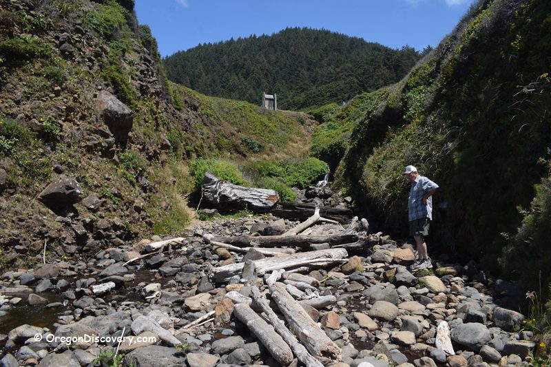 Tokatee Klootchman State Natural Site in Oregon: The picture "Tokatee Klootchman ravine with logs" shows a person standing on rocks next to a stream filled with driftwood, surrounded by steep, green cliffs and a forested hill in the distance.