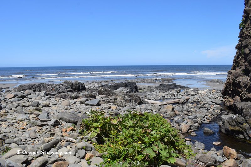 Tokatee Klootchman State Natural Site in Oregon: The picture "Tokatee Klootchman rocky shore view" features a rocky coastline with scattered boulders and patches of green vegetation, looking out to the blue ocean and gentle waves under a clear sky.