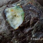 Zeolite in Basalt Vesicle, Oregon