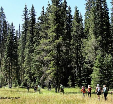 Patjens Lake Oregon Hiking