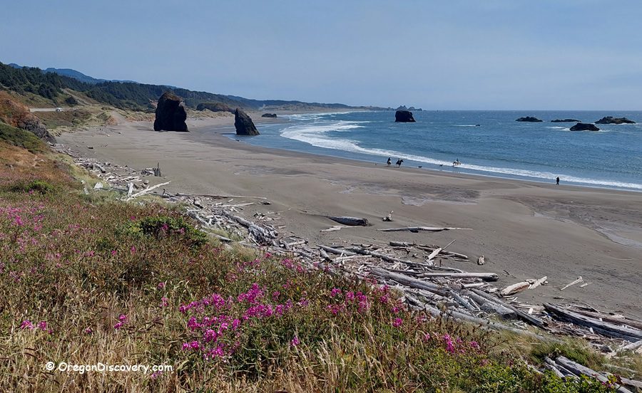 Myers Creek Beach in Oregon: The picture "Myers Creek Beach driftwood and wildflowers" features a sweeping view of the sandy beach lined with scattered driftwood, rocky sea stacks in the surf, and bright pink wildflowers blooming in the foreground beside coastal vegetation.