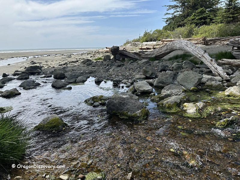 Myers Creek Beach in Oregon: The picture "Myers Creek Beach creek outlet and driftwood" features a rocky creek flowing toward the ocean, with large stones, patches of green grass, and a weathered driftwood log arching over the stream, with the sandy beach and trees in the background.