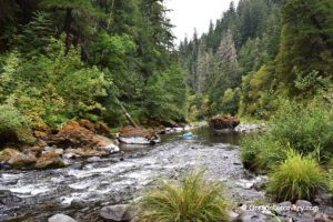 Dumont Creek Campground in Oregon: The picture "Dumont Creek Campground in Oregon – river with mossy rocks and dense forest backdrop" shows a flowing river bordered by moss-covered boulders and thick vegetation, with evergreen trees rising up steep hillsides and a blue inner tube floating in the water.