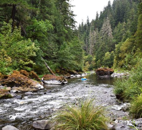 Dumont Creek Campground in Oregon: The picture "Dumont Creek Campground in Oregon – river with mossy rocks and dense forest backdrop" shows a flowing river bordered by moss-covered boulders and thick vegetation, with evergreen trees rising up steep hillsides and a blue inner tube floating in the water.