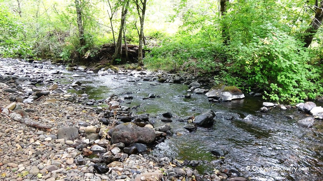 Dumont Creek Campground in Oregon: The picture "Dumont Creek Campground in Oregon – shallow creek with rocky bank and green trees" shows a small, clear creek winding through a lush, forested area, with both banks lined with large rocks, pebbles, and dense green foliage under a sunlit canopy.