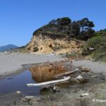 Nesika Beach in Oregon: The picture "Nesika Beach sandy shoreline and driftwood" shows a wide sandy beach with scattered driftwood, some grassy dunes in the foreground, gentle ocean waves, and a distant mountain under a clear blue sky.