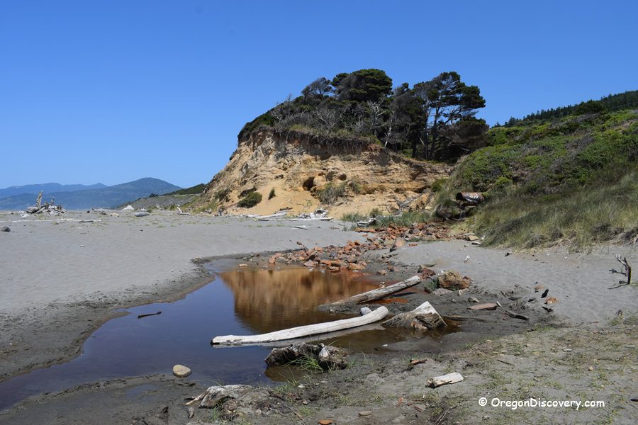 Nesika Beach in Oregon: The picture "Nesika Beach creek and bluff" features a small creek reflecting the blue sky, flowing across the sand with driftwood and scattered bricks, bordered by a sandy bluff topped with windswept trees and green vegetation.