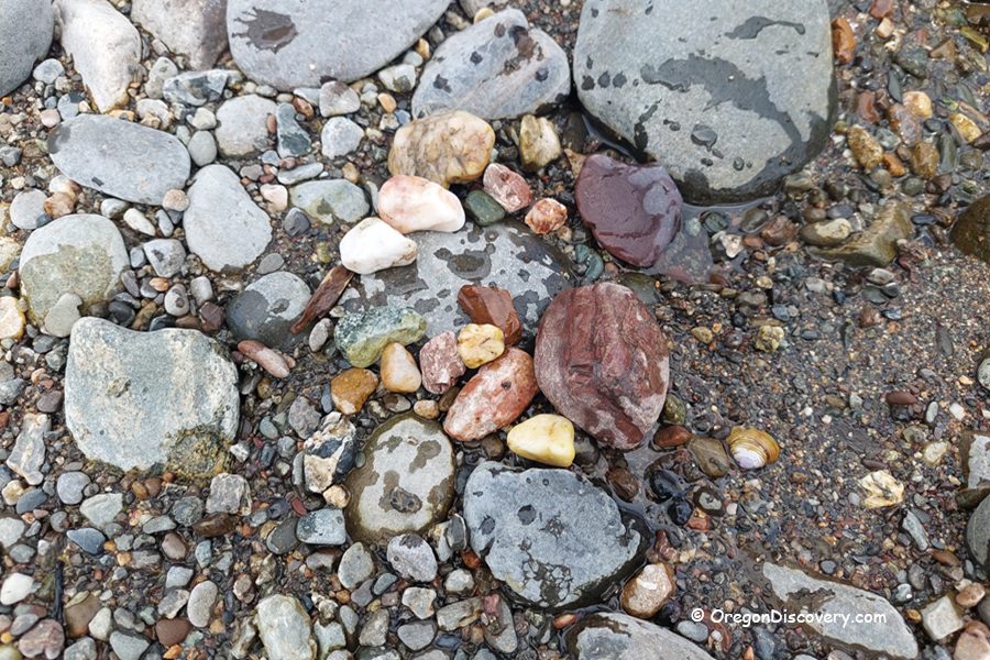 Myrtle Creek Rockhounding in Oregon: The picture "Myrtle Creek Rockhounding in Oregon – assortment of colorful agates and jaspers on wet river gravel" presents a collection of polished agates, jaspers, and quartz stones in various shades of red, yellow, and white, scattered among wet, multicolored river gravel and larger gray rocks.