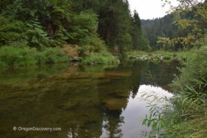 Boulder Creek Campground in Oregon: The picture "Boulder Creek Campground in Oregon – calm creek reflecting forested hills" features a quiet creek with glassy, clear water reflecting the surrounding greenery, including thick shrubs and towering evergreen-covered hills in the background.