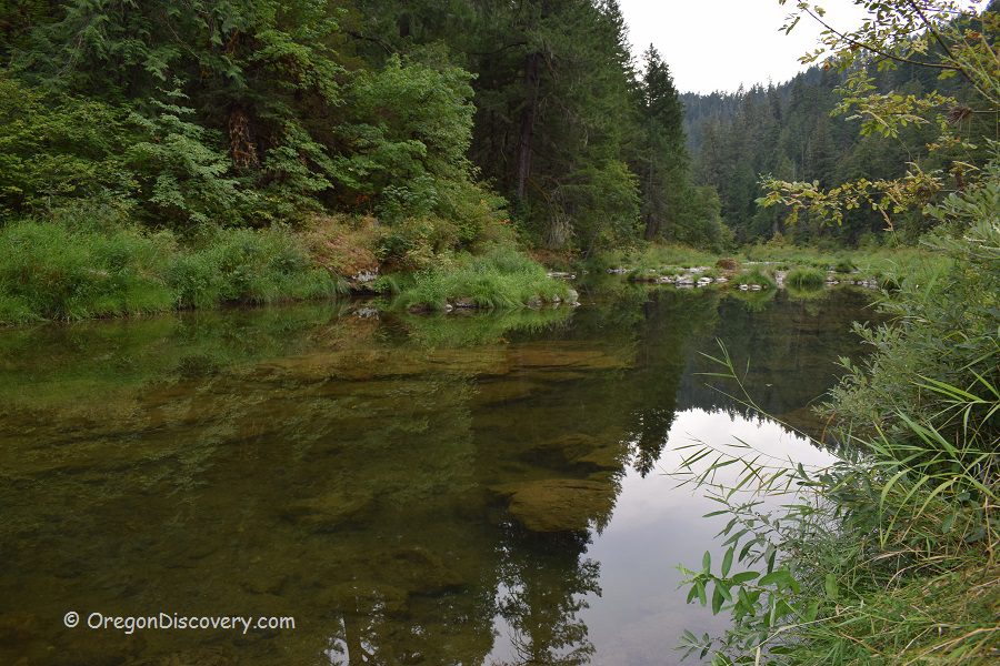 Boulder Creek Campground in Oregon: The picture "Boulder Creek Campground in Oregon – calm creek reflecting forested hills" features a quiet creek with glassy, clear water reflecting the surrounding greenery, including thick shrubs and towering evergreen-covered hills in the background.