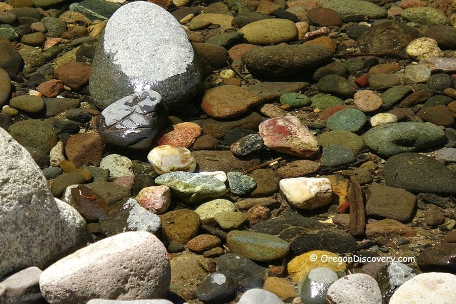 South Umpqua River Rockhounding in Oregon: The picture "South Umpqua River Rockhounding in Oregon – close-up of polished stones in shallow creek" shows a variety of smooth, wet river stones in shades of green, brown, red, and white scattered on the creekbed, with water covering some of the rocks and sunlight highlighting their colors.