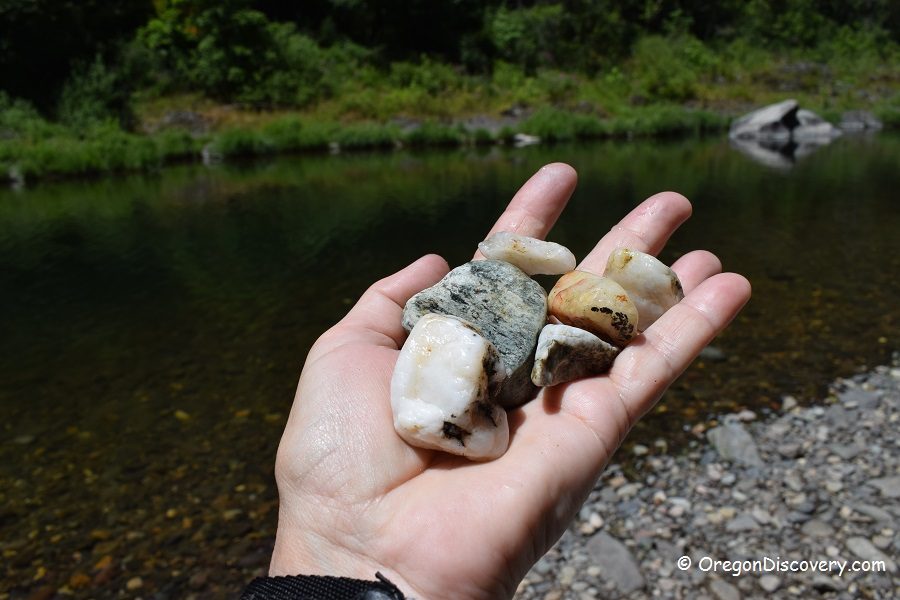 South Umpqua River Rockhounding in Oregon: The picture "South Umpqua River Rockhounding in Oregon – palm full of colorful quartz and jasper stones" features an open hand holding several small, rounded stones of white, red, and gray hues in the sunlight, with a shallow river and green grassy bank in the blurry background.