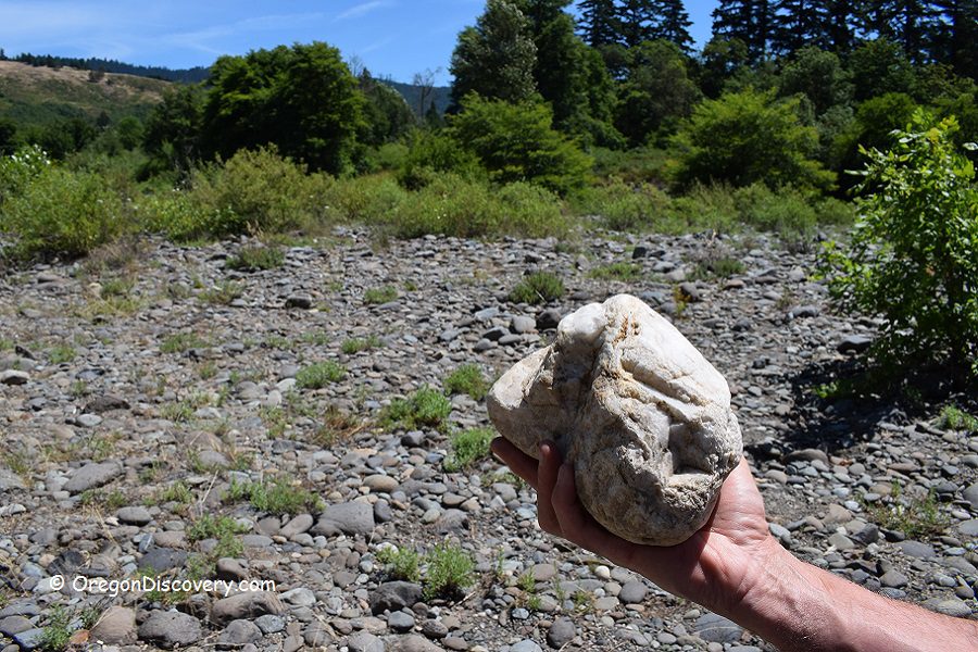 South Umpqua River Rockhounding in Oregon: The picture "South Umpqua River Rockhounding in Oregon – hand holding large white quartz rock" depicts a close-up of a person’s hand holding a big, rough chunk of white quartz against a backdrop of a sunlit, rocky, and brushy river bank with green trees and hills.