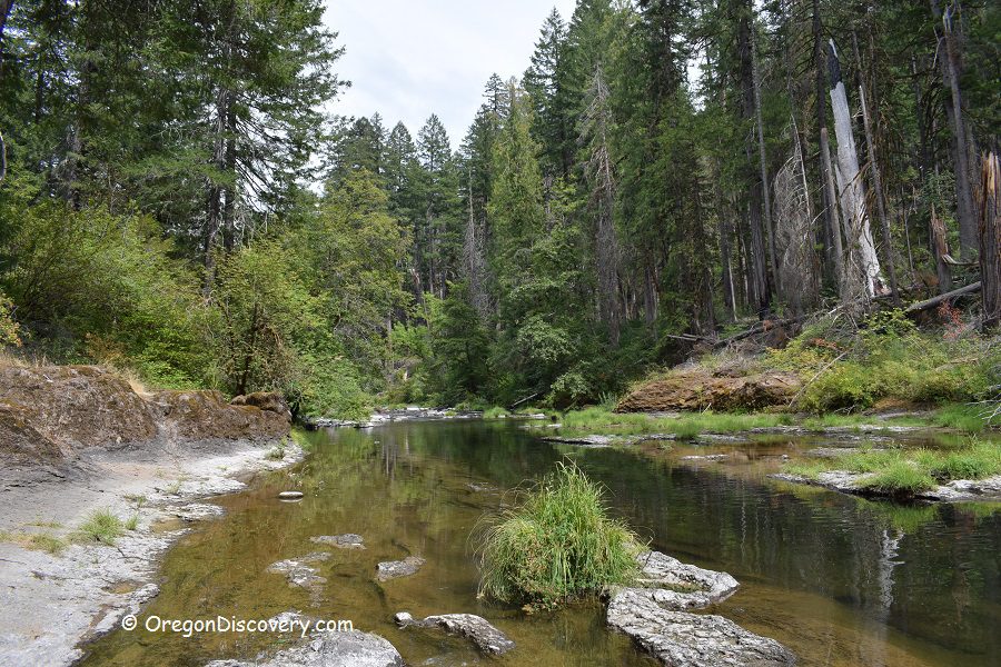 Ash Flat Campground in Oregon: The picture "Ash Flat Campground in Oregon – peaceful creek with rocks and forest reflection" displays a tranquil creek bordered by flat, pale rocks and grassy patches, with the surrounding tall evergreens and dense trees reflected in the still water.