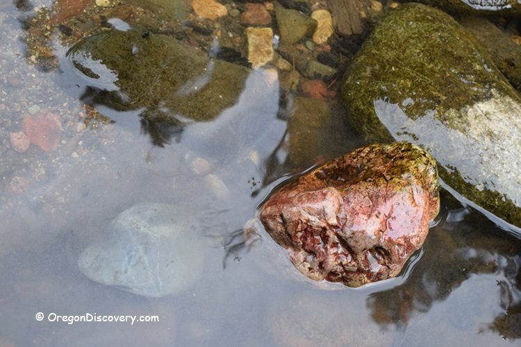 Boulder Creek Campground in Oregon: The picture "Boulder Creek Campground in Oregon – colorful stones in shallow water" displays a close-up view of several large, smooth stones, including a prominent reddish rock, partially submerged in clear creek water with a view of the rocky creekbed beneath.