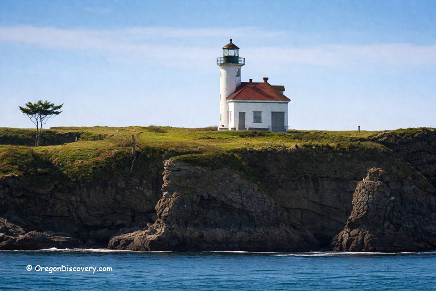 Lighthouse Beach in Oregon: The picture "Lighthouse Beach lighthouse on the bluff" shows a classic white lighthouse with a red roof sitting atop a green grassy bluff, with rocky cliffs and the blue ocean below.