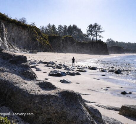 Lighthouse Beach in Oregon: The picture "Lighthouse Beach rocky shoreline with person" features a sandy beach at low tide, scattered with large rocks and boulders, a silhouette of a person near the water, and a bluff with trees along the shoreline under a clear blue sky.