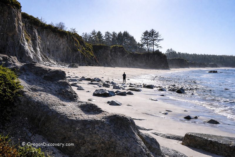 Lighthouse Beach in Oregon: The picture "Lighthouse Beach rocky shoreline with person" features a sandy beach at low tide, scattered with large rocks and boulders, a silhouette of a person near the water, and a bluff with trees along the shoreline under a clear blue sky.