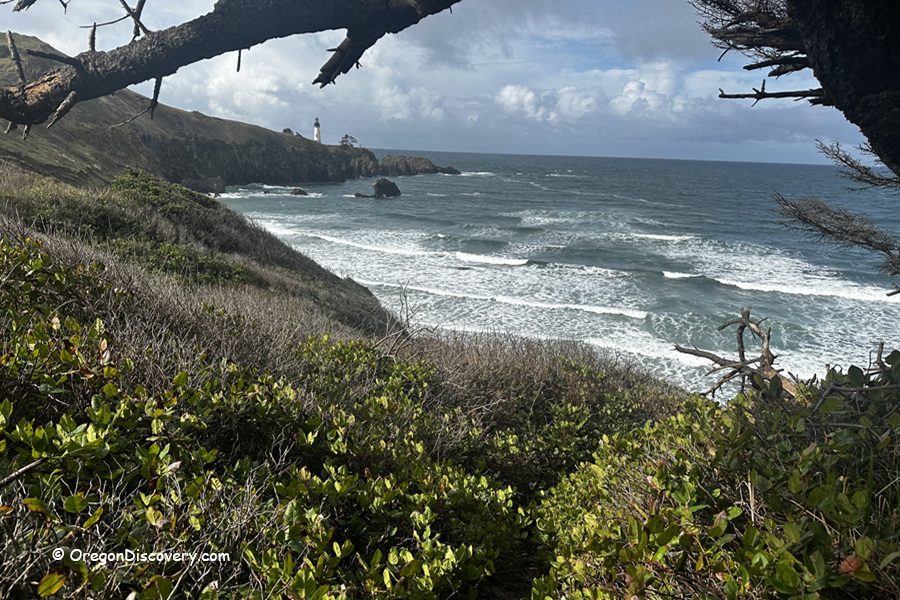 Starfish Cove in Oregon: The picture "Starfish Cove coastal view with lighthouse framed by branches" shows windswept ocean waves rolling toward a rugged shoreline, with a distant lighthouse perched on a bluff, all framed by green shrubs and tree branches in the foreground under a cloudy sky.