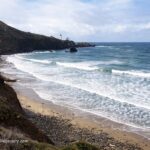 Starfish Cove in Oregon: The picture "Starfish Cove coastal view with lighthouse framed by branches" shows windswept ocean waves rolling toward a rugged shoreline, with a distant lighthouse perched on a bluff, all framed by green shrubs and tree branches in the foreground under a cloudy sky.